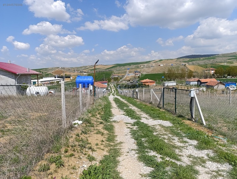 Fotoğraf